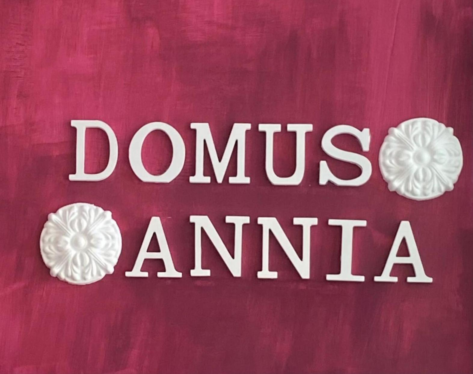 Domus Annia Guest House, The Amazing Colosseum Rome Exterior photo